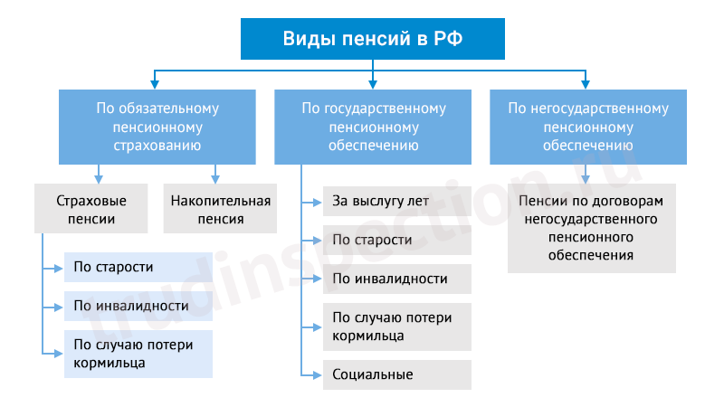 Пенсионные отчисления граждан РФ в 2021 году